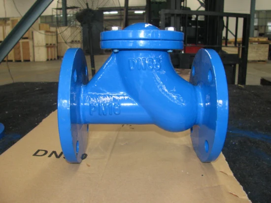 DN100-DN300 Cast Iron Ball Check Valve From China1