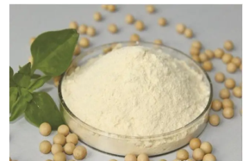 Unveiling the Extraction Process of Soy Peptides