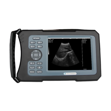 China Top 10 Animals Veterinary Ultrasound Scanner Potential Enterprises