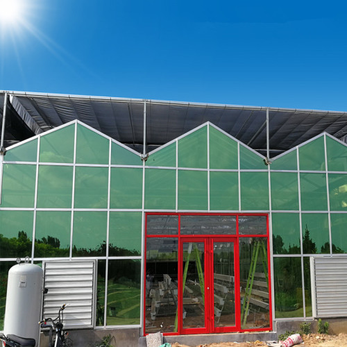 JuLong Glass Greenhouse Project