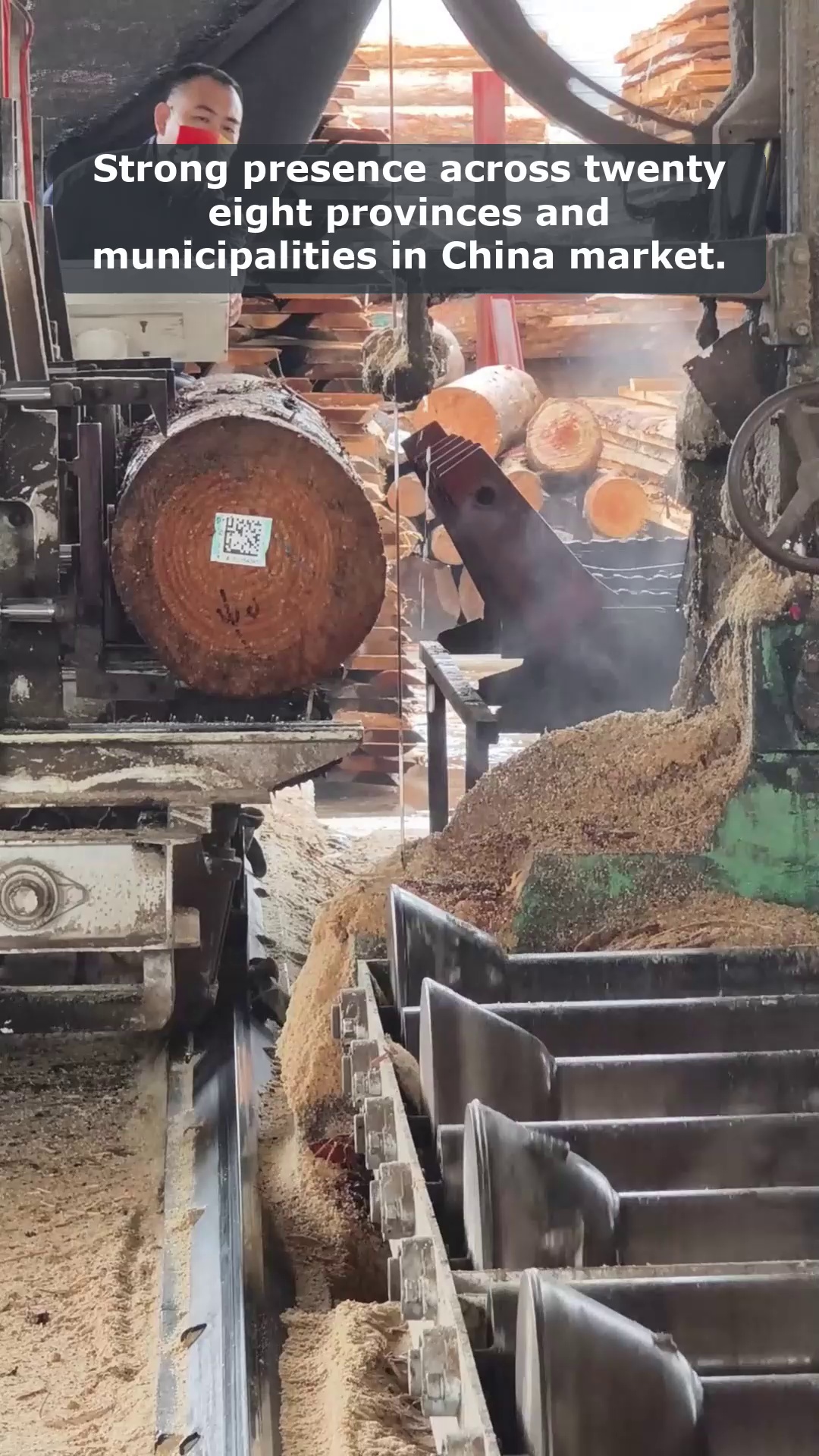 Video 16