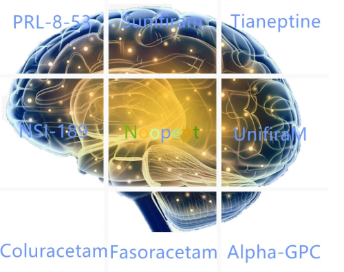 Hot sale of high quality nootropic of all kinds