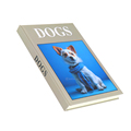 Custom and Print Stylish Fake Hardcover Book Printing Faux Books for Decoration1