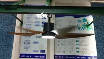 fan light with blades