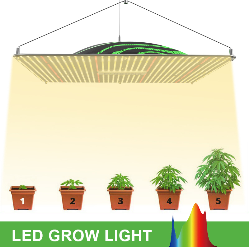 150w Led Grow Light 11 1