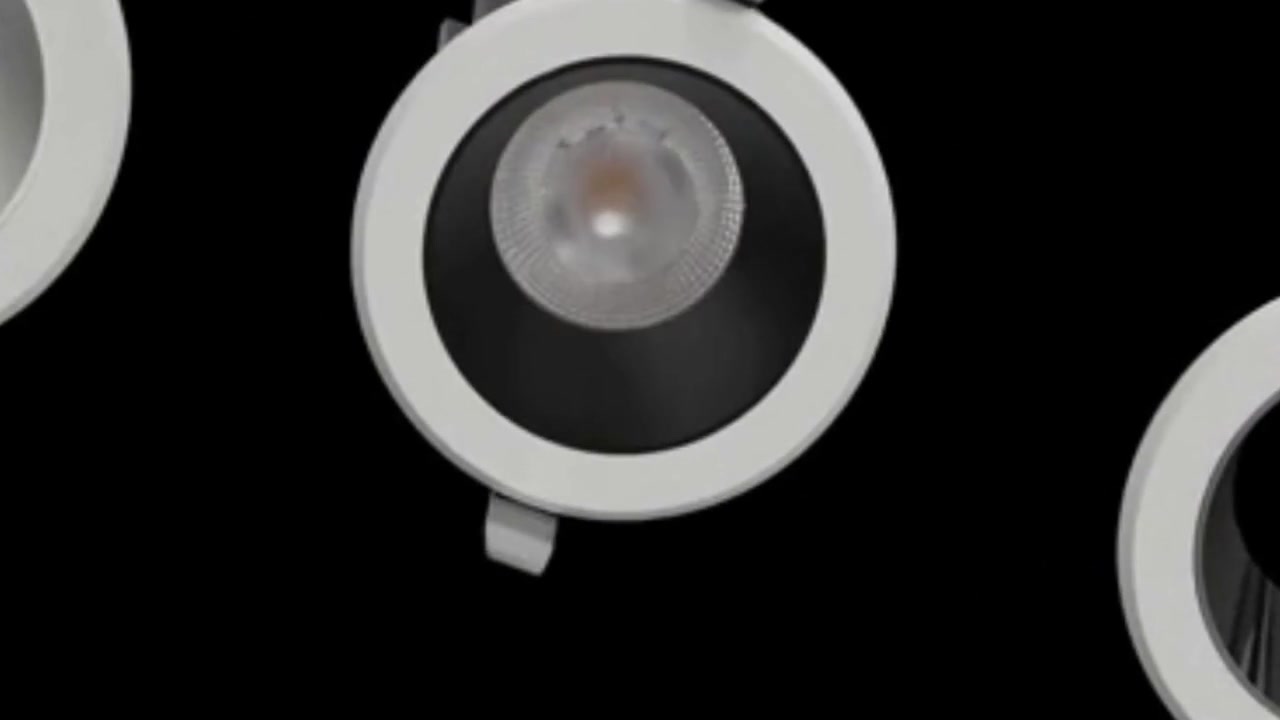 IP65 waterproof downlight  Hsong1