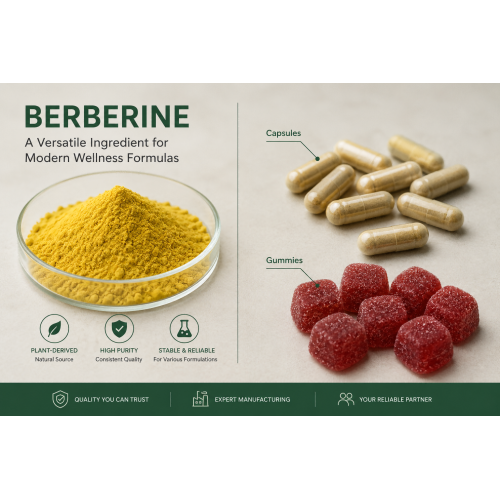 Berberine Capsules Become One of the Fastest-Growing Supplement Trends in 2026