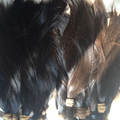 Soft Virgin Raw Young Thin Unprocessed Human Hair1