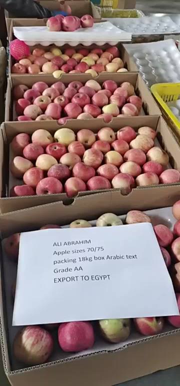 Fresh apple