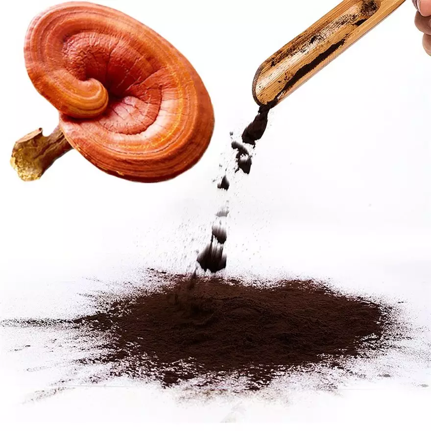 مستخلص Ganoderma Lucidum