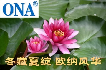 lotus pond Harvest in summer, store in winter