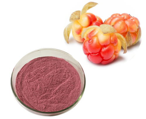 Cloudberry fruit extract powder