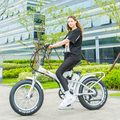 Customized 48V 13Ah Lithium Battery Full Suspension Folding Electric Bike with 1000W Fat 4.0 Snow Tire1