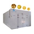 superior quality pineapple drying machine suppliers pineapple slice drying machine pineapple Dehydrator1