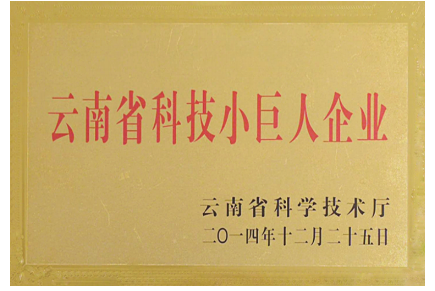 Yunnan Province Science and Technology Little Giant Enterprise