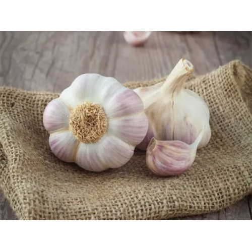 L'industrie chinoise de l'ail maintient un fonctionnement stable en 2026, avec une offre et une demande équilibrées et des exportations stables