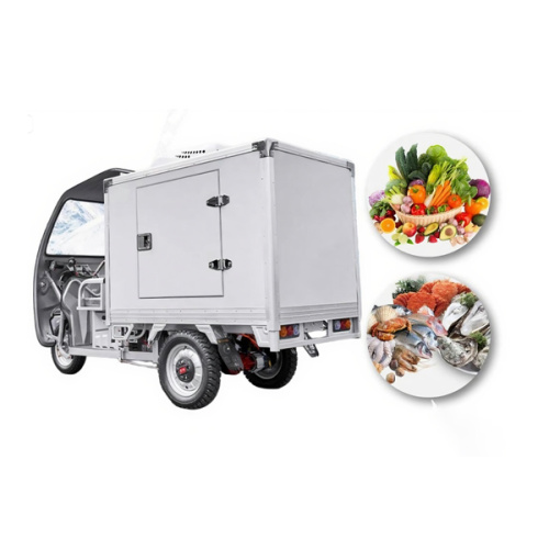 More Than Just Transport: Specialized Uses for Our Medical Cold Chain Tricycle and Ice Cream Tricycle