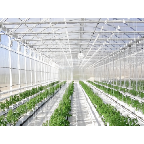 Temperature Control in Multi-span Greenhouses