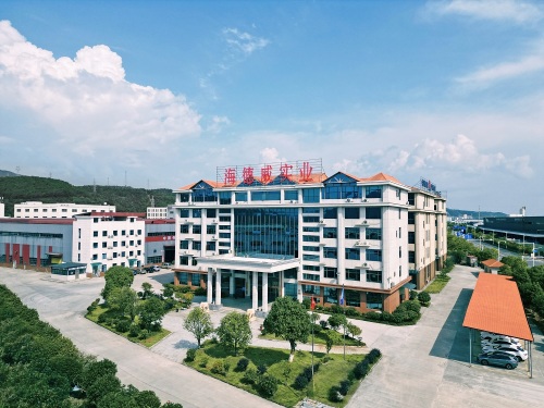 تعمل شركة Hunan Haidewei (HANDWAY) على دعم التصنيع الذكي العالمي من خلال خطوط إنتاج ثنائية النواة وقدرات سلسلة كاملة