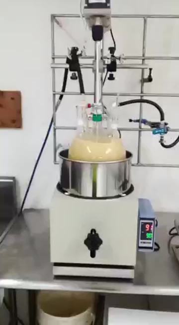 5L single layer glass  Reactor