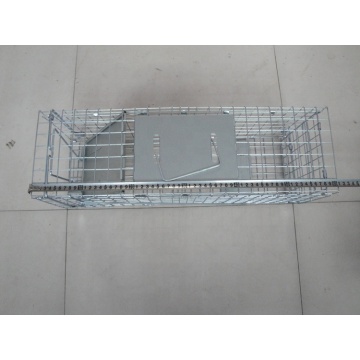 List of Top 10 Animal Cage Traps Brands Popular in European and American Countries