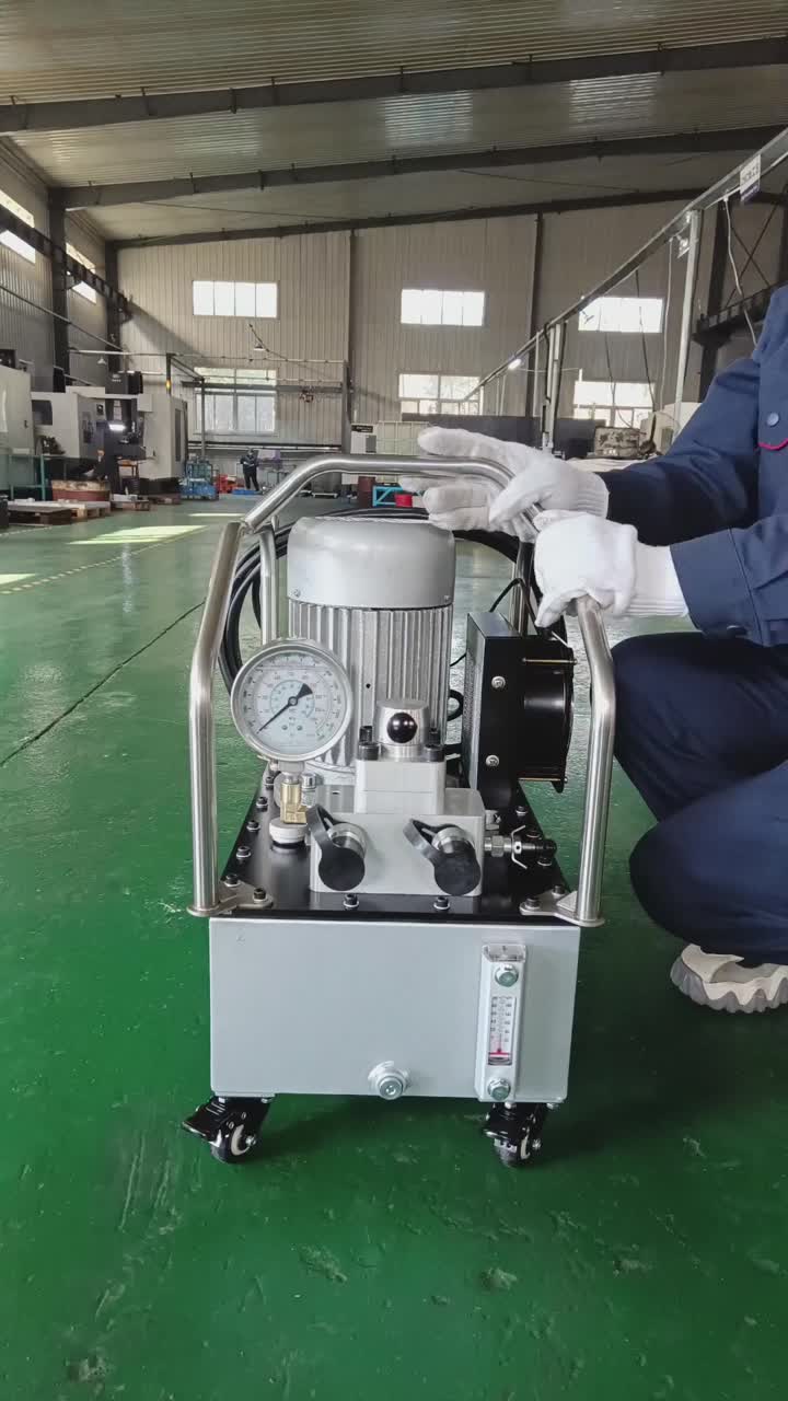 PED206M manual reversing electric pump