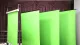 CHROMA Key Green Screen Fondo Pantalla verde