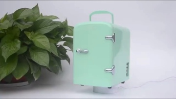Custom Mini Portable Car Beauty Fridge Cosmetic Skincare Refrigerator Makeup Fridges Freezer Wholesale Supplier1