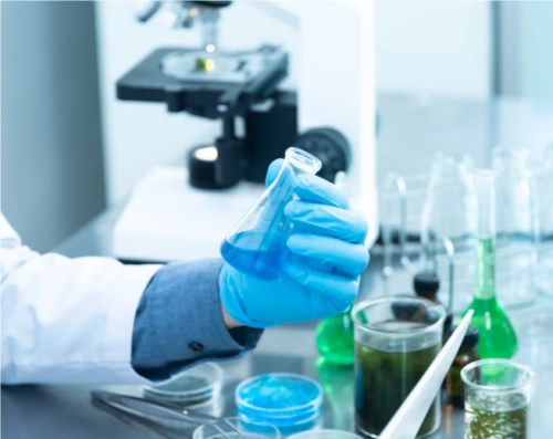Marktaussichten für physische Matting Agents 2024-2032: vielversprechende Wachstumschancen und aufkommende Trends
