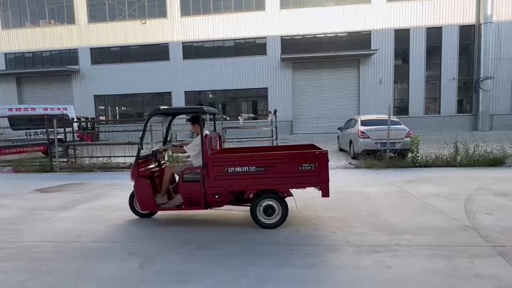 three wheel electric vehicle