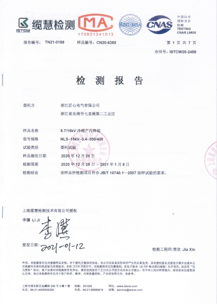 Inspection Report