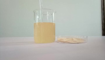 Goji juice powder