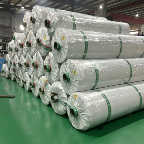 Jiangsu Zhixin Plastic Technology Co., Ltd. Tarafından Geliştirilen Yaylalara ve Soğuk İklimlere Uyarlanan Sera Filmleri Hızla Satılarak Sincan ve Orta Asya'da Popülerlik Kazanıyor