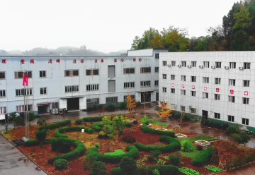 Corporate promotional video