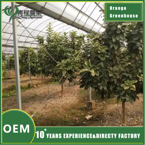 Якія метады праектавання сельскагаспадарчых цяпліц?