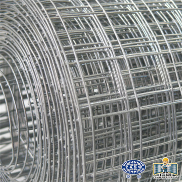 Ten Chinese Galvanized Welded Wire Mesh Suppliers Popular in European and American Countries