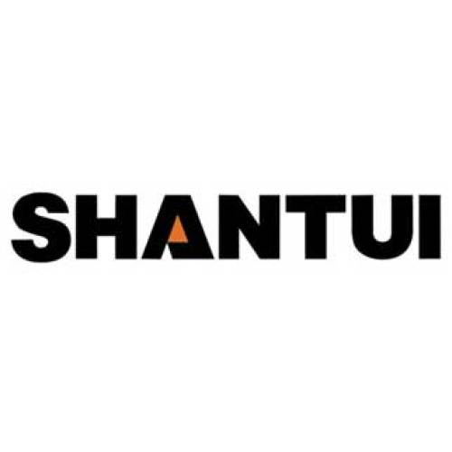 China forklift manufacturer Shantui brand