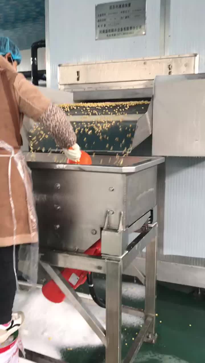 IQF sweet corn production line