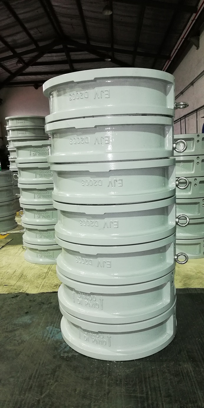 Dual Plate Check Valve