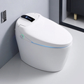 110/220V Floor-Mounted Smart WC Ceramic Automatic Bidet Toilet1