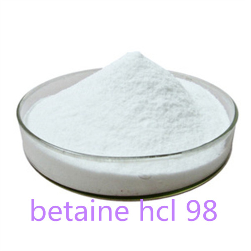 Le chlorure de choline de 100 tonnes à 75% d'huile pour l'alimentation animale sera envoyé à notre ami en Inde.