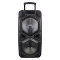 Temeisheng Big Power Bass Portable Amplifier with DJ Lights1