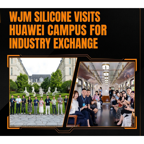 WJM Silicone Visits Huawei Songshan Lake for Exchange and Learning: Exploring the Path to Globalizing Its Automotive Silicone Parts Brand