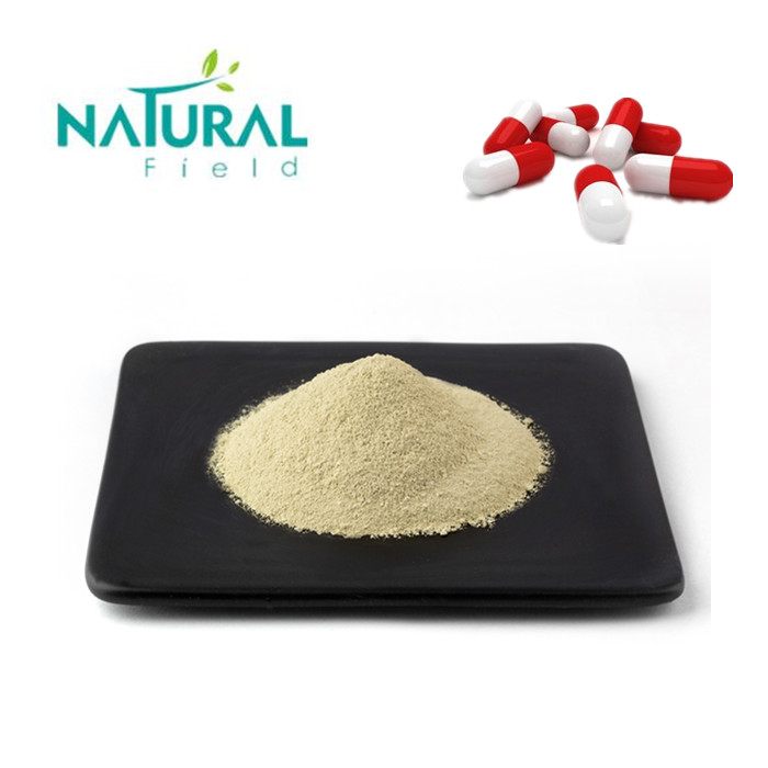 Natural Scphora Japonica L Extract Luteolin 98٪ بكميات كبيرة لمكافحة السرطان