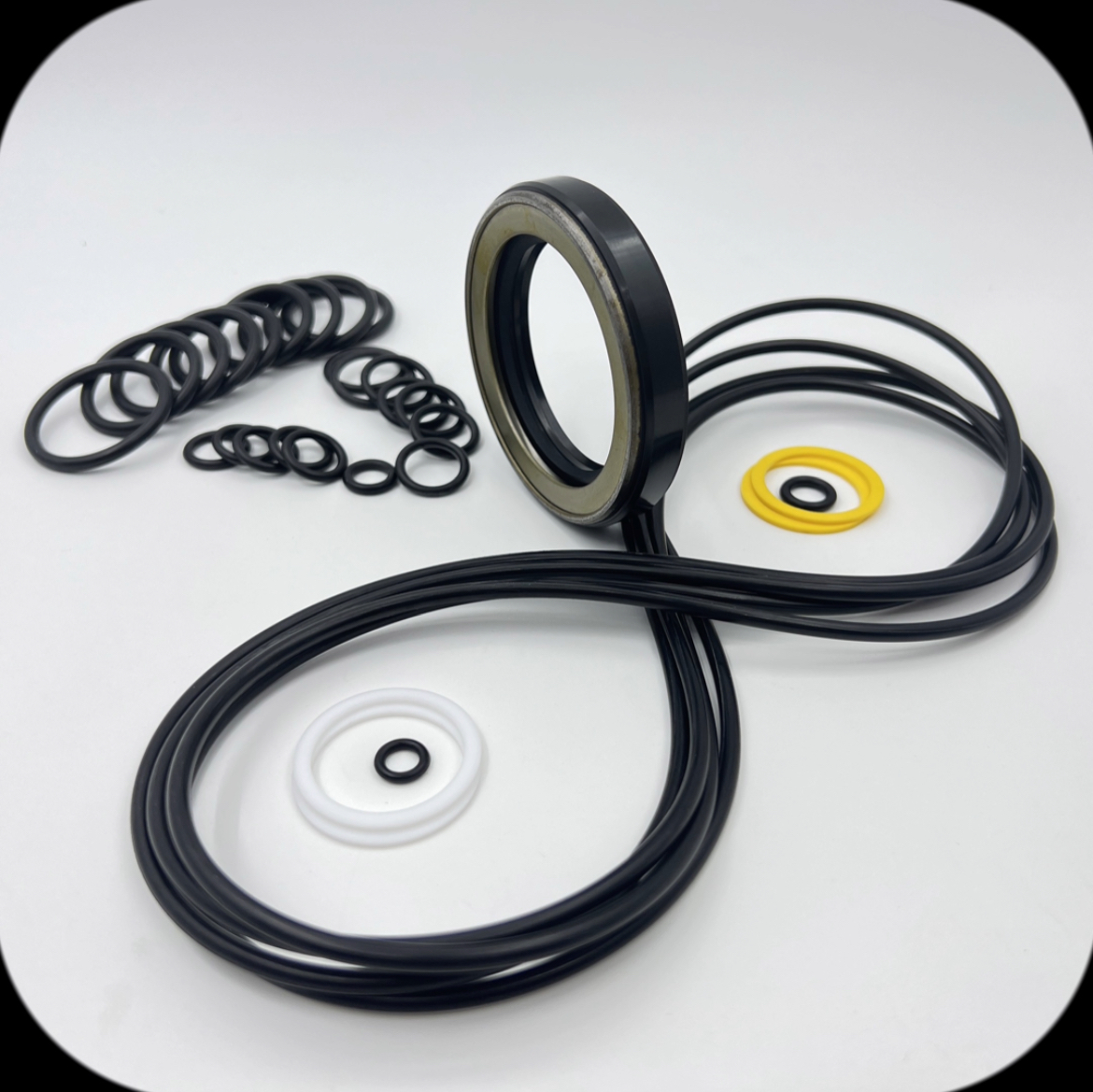 20-Travel Motor Seal Repair Kit