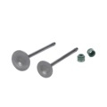 HONLG Motorcycle Engine Intake Exhaust Valves for CG125 CG1501