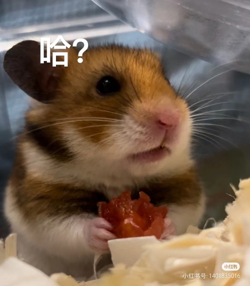 Verbessern Handy-Akku