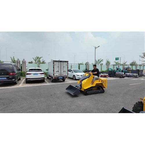 H-490T TrackSkidSteer