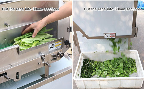 Máquina multifuncional de corte de vegetais: melhore a eficiência da sua cozinha comercial
