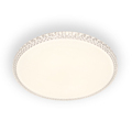 Acrylic Remote Control Ceiling Lamp D500mm Thin Frame Bedroom Light1